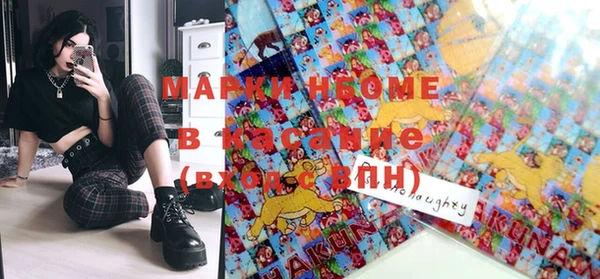 стафф Михайловск
